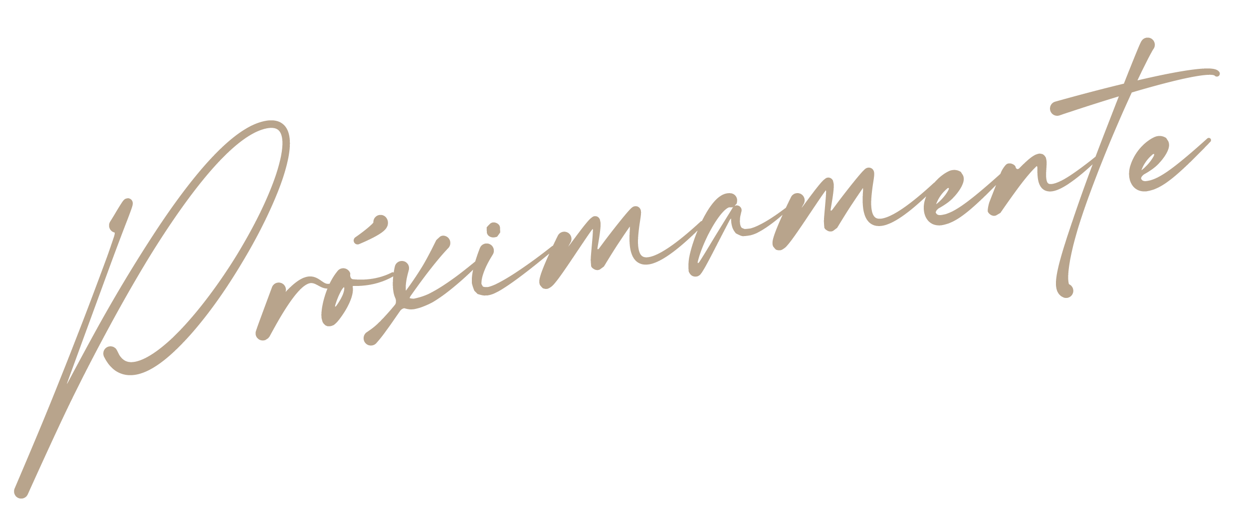 branding-amy-2025